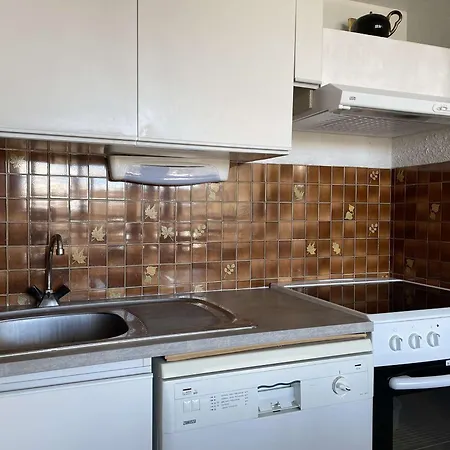 4 Pers Avec Balcons, Parking Et Acces Direct Aux Pistes - - Fr-1-330d-47 Apartment